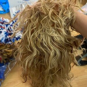 ⭐️2 Blonde Wigs!⭐️